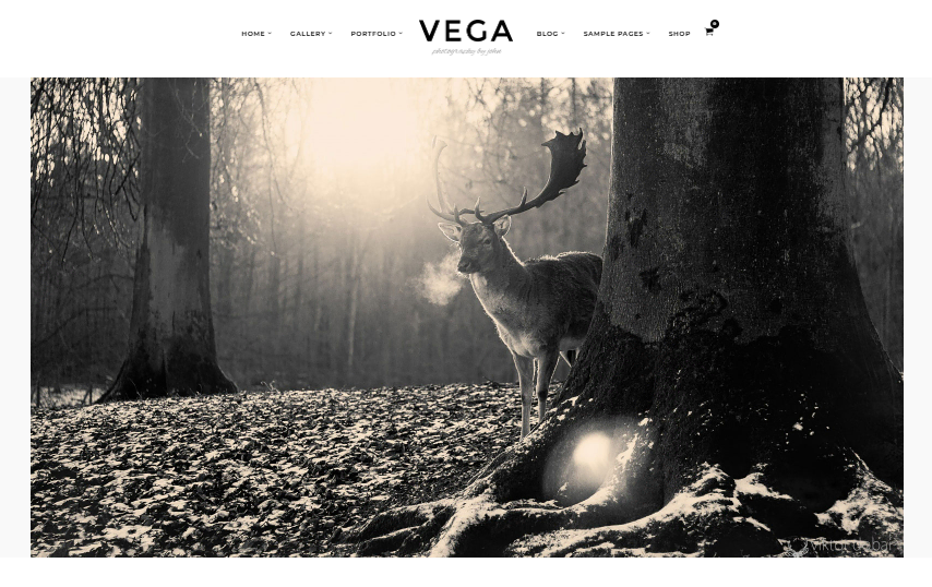 theme-wordpress-photographe Thème WordPress Vega pour photographe