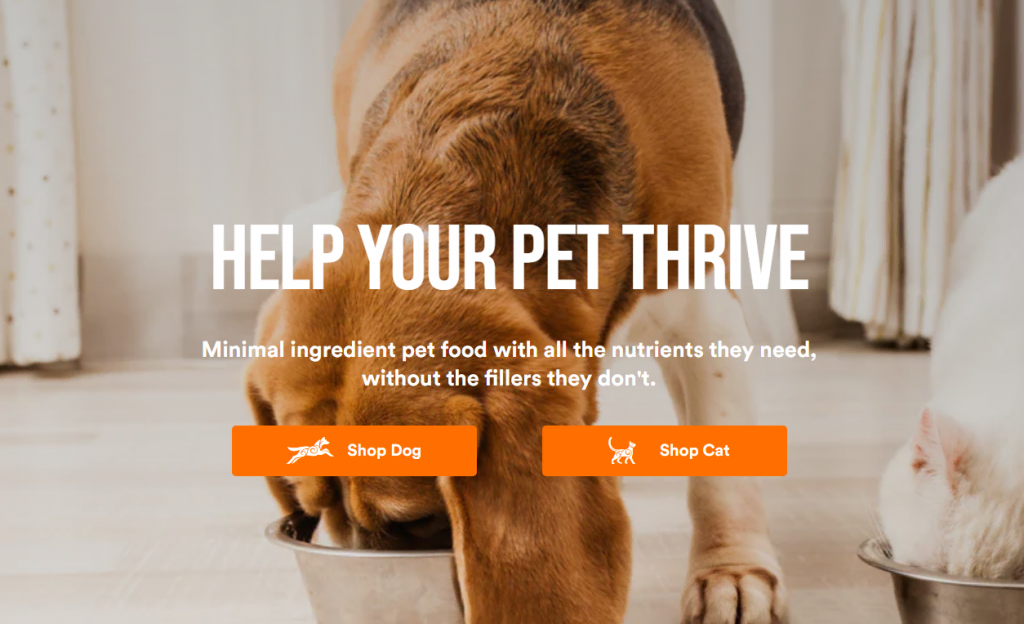 exemples-de-sites-storybrand L'exemple du site web Koha Pet StoryBrand