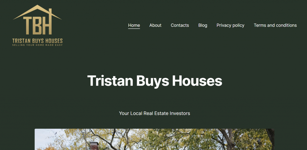 sites-pour-agents-immobiliers La page d'accueil de Tristan Buys Houses